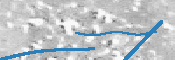 Image Anti-spam